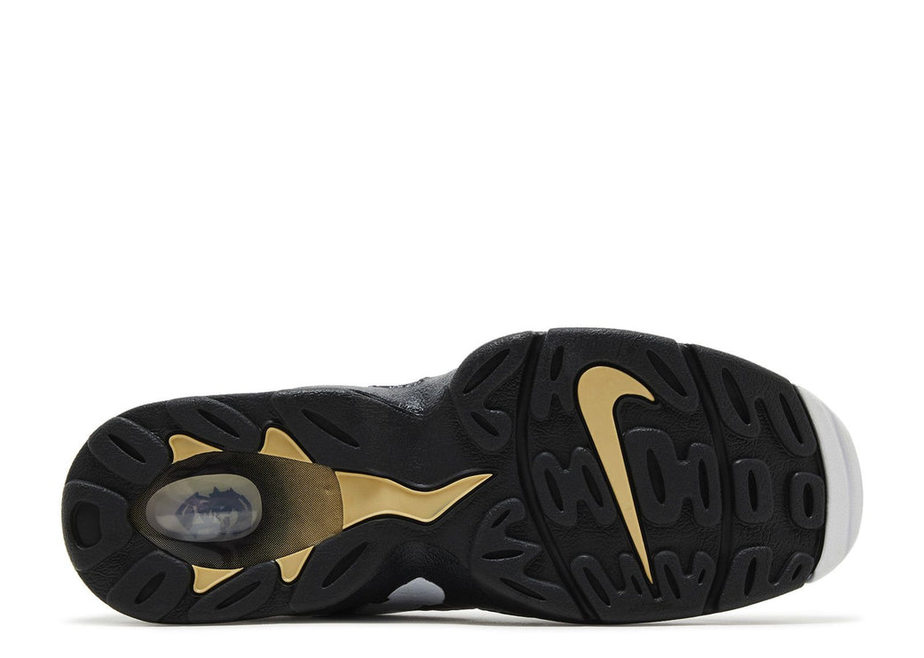 AIR DT MAX '96 'COLORADO AWAY - WHITE BLACK'